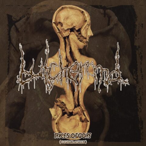 Butcher M.D. – Traces Of Gore (Compilation)