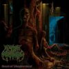 Cease Of Breeding - Sounds Of Disembowelment