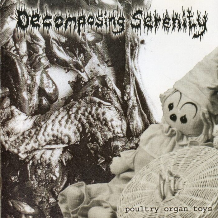 Decomposing Serenity / Sugar Plum Fairy - Poultry Organ Toys / Cinderella's Spirit In My Doll