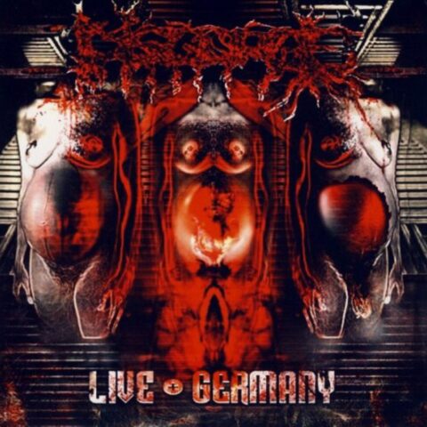 Disgorge  – Live Germany