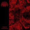 Disgusted Geist - Reign of Enthrallment