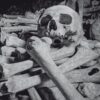 Encoffination - Necros Obscuritas