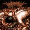 Human Repugnance - Post Mortem Rot Pile