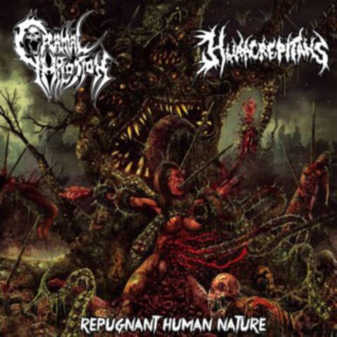 Hura Crepitans, Cranial Implosion – Repugnant Human Nature