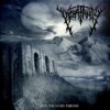 Insatanity - Upon the Ivory Throne