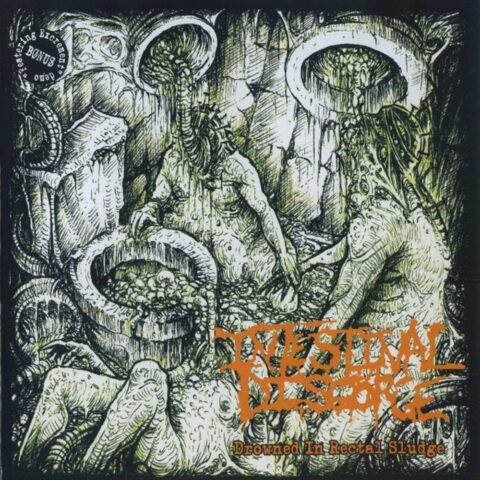 Intestinal Disgorge – Drowned In Rectal Sludge