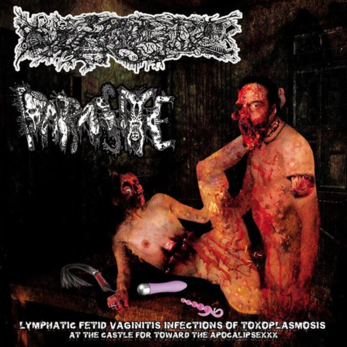 Paracoccidioidomicosisproctitissarcomucosis / Parasite - Lymphatic Fetid Vaginitis Infections Of Toxoplasmosis At The Castle For Toward The Apocalipsexxx