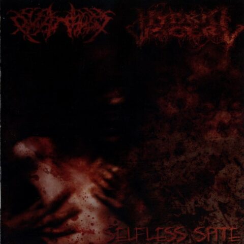 Psychofagist / Hybrid Viscery – Selfless Spite