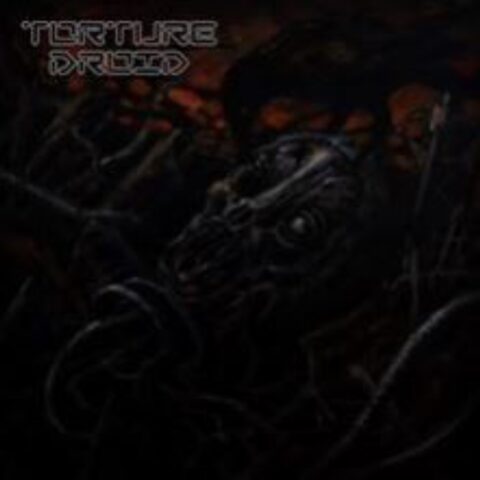 Torture Droid – Torture Droid