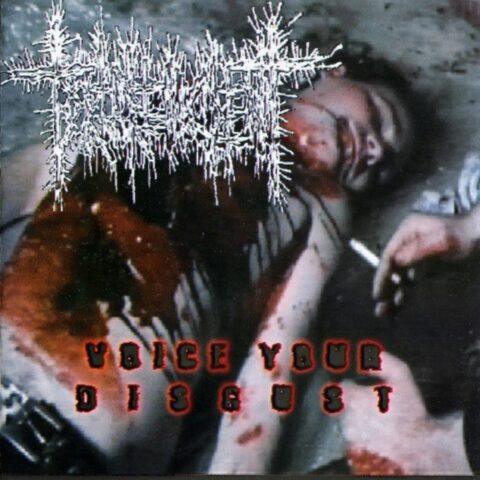 Torture Incident / Brutal Insanity – Voice Your Disgust / Smash Hits
