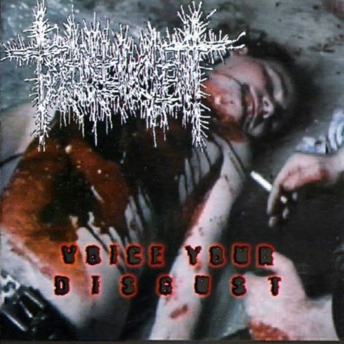 Torture Incident / Brutal Insanity - Voice Your Disgust / Smash Hits