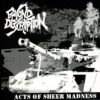 Beyond Description - Acts Of Sheer Madness