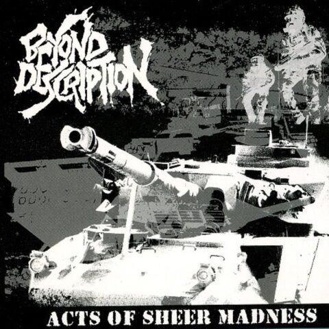 Beyond Description – Acts Of Sheer Madness