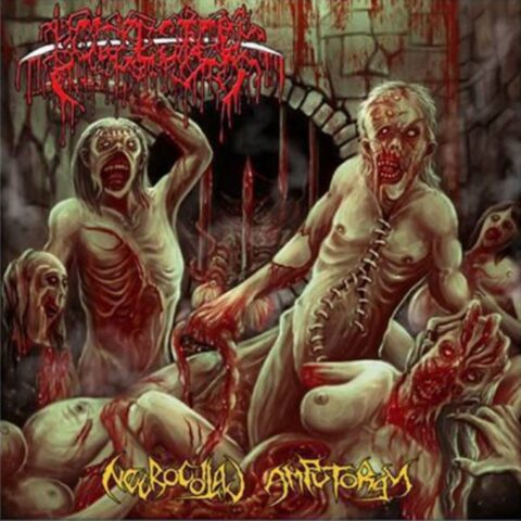 Bowel Stew – Necrocoital Amputorgy