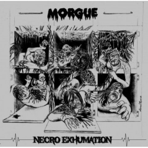 Morgue ‎– Necro Exhumation