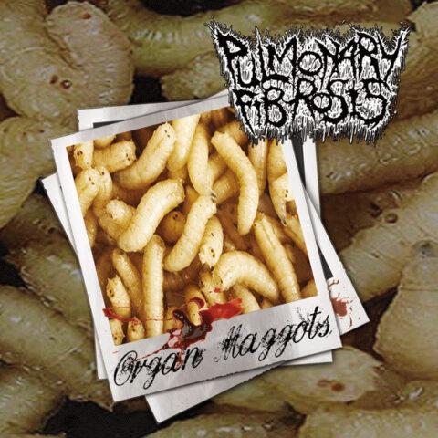 Pulmonary Fibrosis ‎– Organ Maggots