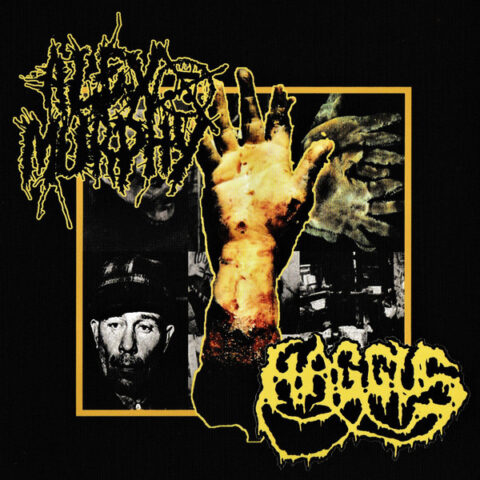 Haggus / Alex Murphy  – Split CD