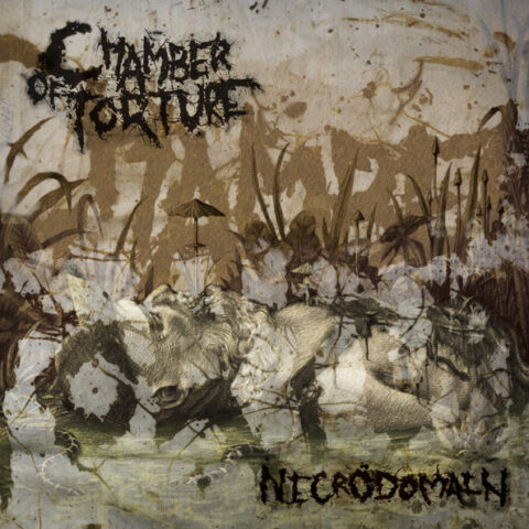 Chamber Of Torture ‎– Necrodomain