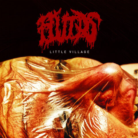 Fluids ‎– Little Village