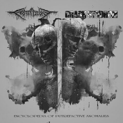 FesterDecay / Crash Syndrom ‎– Encyclopedia Of Putrefactive Anomalies
