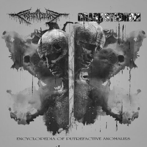 FesterDecay / Crash Syndrom ‎– Encyclopedia Of Putrefactive Anomalies