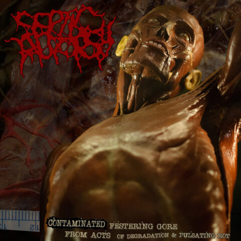 Septic Autopsy ‎– Contaminated Festering Gore From Acts Of Degradation & Pulsating Rot
