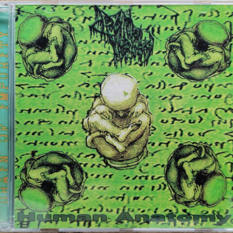Drain Of Impurity ‎– Human Anatomy