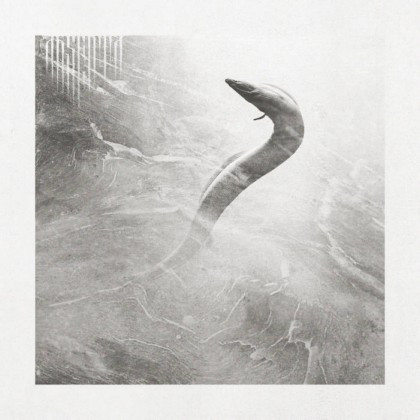 Absenta – Eel